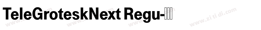 TeleGroteskNext Regu字体转换